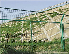 安平鑫福隆金屬絲網(wǎng)制品廠 專業(yè)供應(yīng)各類護欄網(wǎng)與防護設(shè)施